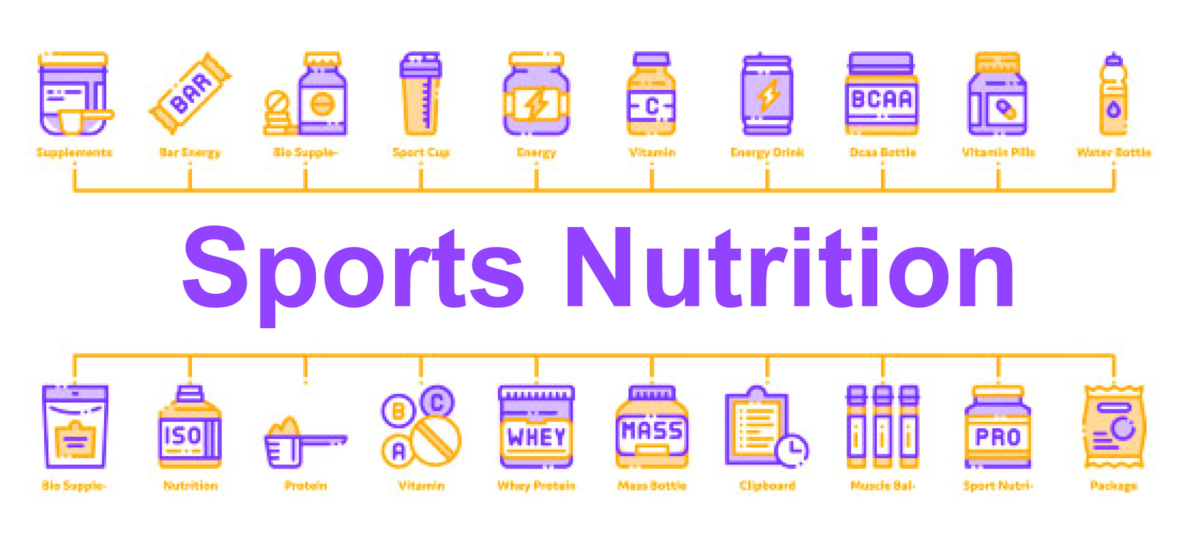 Sports Nutrition